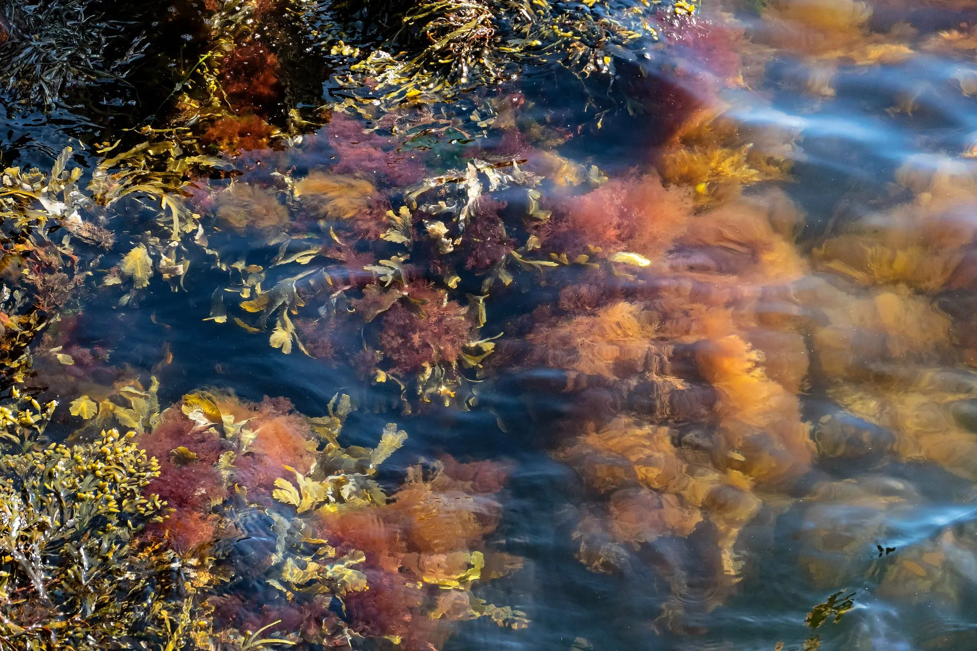 Black Sediment in Your Water Tank? Here Is What It Is
